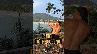 Punch From Coconut🥥🥊 #Lesson #Training #Boxing #Fighter #Mma