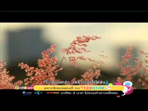 หนึ่งคำสำคัญ แหนม รณเดช (Official MV) thumb