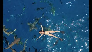 Swimming with sharks in Maldives | Maafushi Island