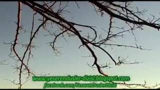 Yeşeren Düşler 17