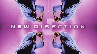 Watch New Direction You Love Me video