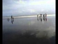 Mesum di pantai
