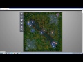 Basic Warding in Solo Queue