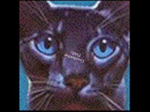 Bluestar-Bad Boy-RIGHT! this kibnda describes her love for Oakheart, 