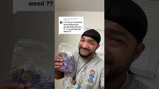 Blue Lotus Vs Cannabis And Why Blue Lotus Is A Must Have While On Your Cosmic Journey
