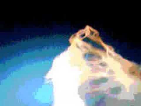 Shallow Then Halo Video