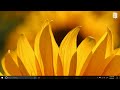 Windows 10 build 15002 for PC: Blue light filter & app folders on Start!