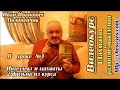 Шахматы и развитие мышления. (Иван Полонейчик, Виктор Кириченко) Шахматы и развитие мышления. (Иван Полонейчик, Виктор Кириченко)