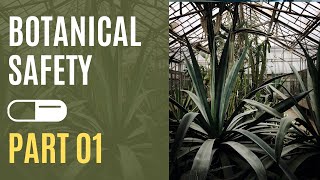 EP-01 Ensuring Botanical Safety - Natural Can Kill: Intro by Dr Hellen Oketch-Rabah