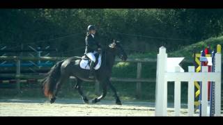 Concours CSO écuries epona