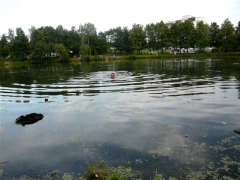 мосрентген рыбалка мосрентген рыбалка