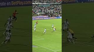 hjWjDojfmRo Video Image