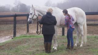 AVMA LIFE: Grads Insurance Program (Take Advantage of the Graduate Guarantee)