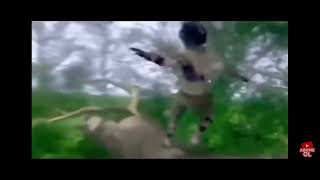 Ejderha Yuvası, Fantastik Animasyon