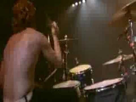 The Vines(live) - 11 tv pro