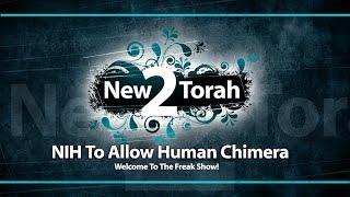 Nih To Allow Human Chimera Development