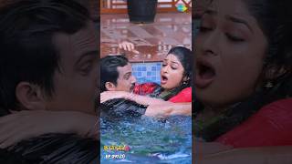 Malli Serial Shorts Ep 97 - 1 Nikitha Vijay Saregama Tv Shows Tamil