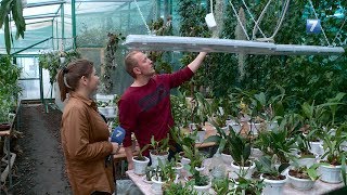 Новости в рени и районе