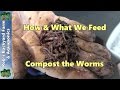How & what we feed the Worms...