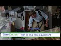 Bed Bug Pest Control with a Safe Non Toxic and Effective Formula Guaranteed in Clearwater, FL