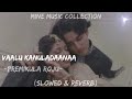 Vaalu Kanuladaanaa (Slowed + Reverb) From Premikula Roju | Mine Music Collection.