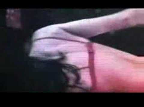 Amy Lindsay Videos | Amy Lindsa...