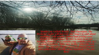Catfish Weekly 363 With Guest Josh Dunnigan The Weekend Angler
