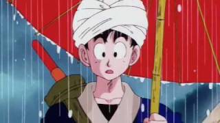 Gokú Crecido