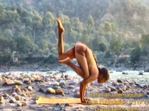 Yoga Dvds   Beginners on Yoga In Rishikesh  Balencing Yoga  Hatha Yoga Classes  Hatha Yoga