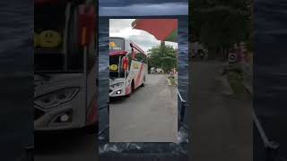 Kejar Kejaran Bus Mira Dan Sugeng Rahayu