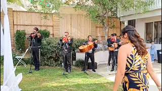 Mariachi Los Gallitos 323240-1609...20 Mujeres