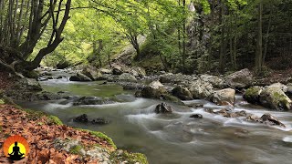 🔴 Relaxing Music 24/7, Meditation Music, Healing Music, Sleeping Music, Yoga Music, Study Music