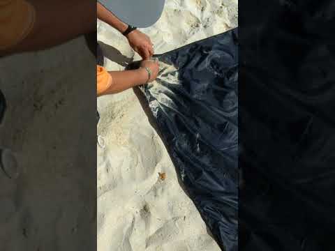 Archimhead beach towel