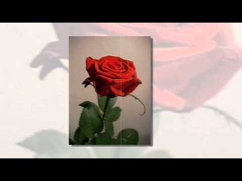 Mohabbatein Lutaunga............