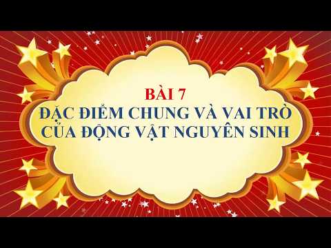 Sinh học lớp 7 - Đặc điểm chung và vai trò của ngành động vật nguyên sinh