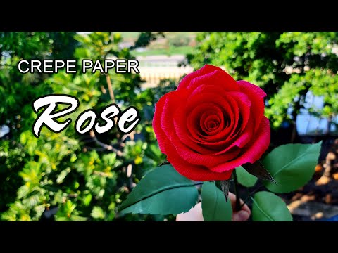 Cách làm Hoa Hồng bằng giấy nhún | How to make Rose flower by crepe paper | Góc nhỏ Handmade