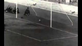 hlbvDSqjLuY Video Image