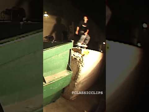 Bryan Wilson Pop Shove Dumpster Classic Skateboarding Shorts
