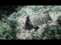 yasuni