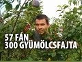 57 fán 300 gyümölcsfajta - egy hobbikertész sikerei (2009)
