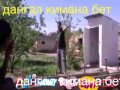 Video Дангал