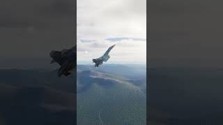 Su-33 Cobra And Deploying Flares In Dcs #Shorts