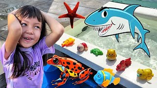 Menemukan Ikan-Ikan Di Kolam Renang Ikan Hiu, Ikan Koki, Burung Hantu, Bebek, Lobster & Kodok