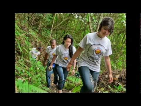 FUNDACION LA LUZ fundacion la luz:
