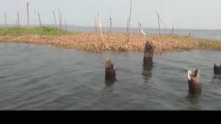 FISH SANCTUARY