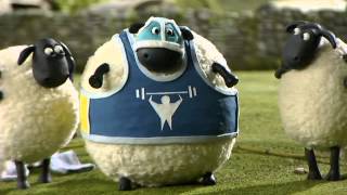 Ovecka Shaun 1