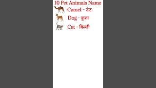 10 Pet Animals Name In Hindi And English Learn Animals Name In English And Hindi