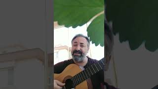 Sen benim şarkılarımsın (akustik)