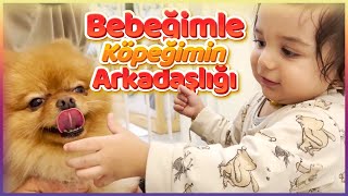 Kavga Etti̇ler Bebeği̇m İle Köpeği̇mi̇n Arkadaşliği