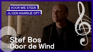 Watch Stef Bos Door De Wind video